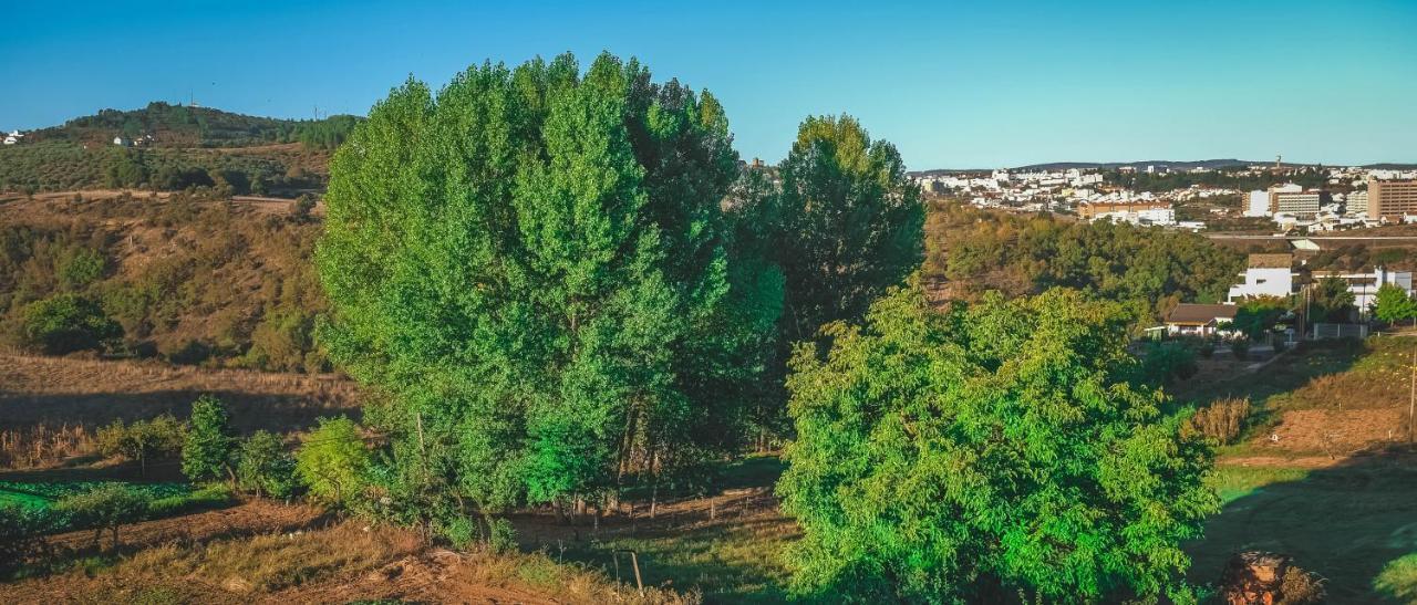 Alojamento Local Do Arado Bragança Екстериор снимка